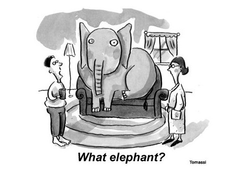 the-elephant-in-the-room-by-andrea-turner
