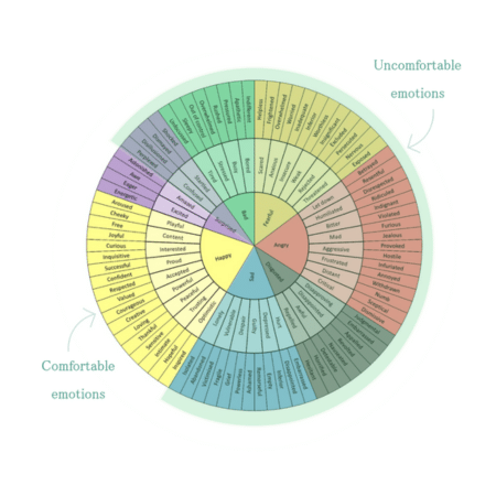 Simplified emotions wheel