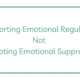 Supporting Emotional Regulation